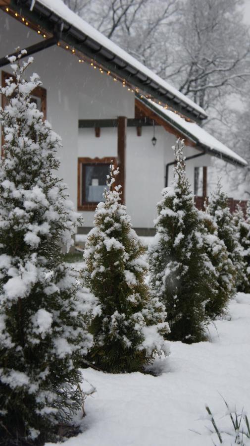 Na Szlaku - domki do wynajęcia Rabka Zewnętrze zdjęcie
